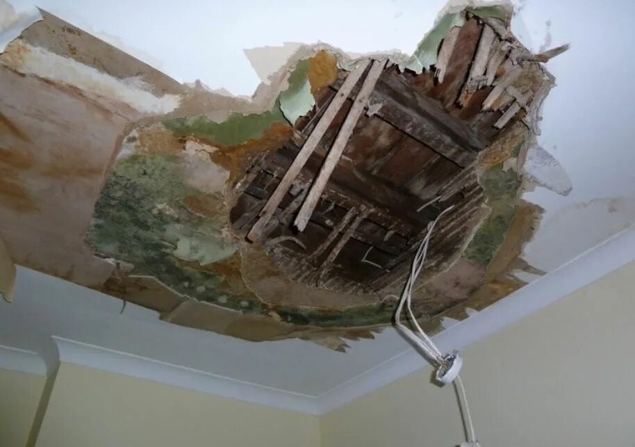 Damage definition. Water damage. damage. a51 water damage. (pissodes strobi photo damage).