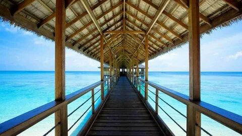 Reethi beach отзывы