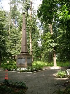 Погода райки щелковский