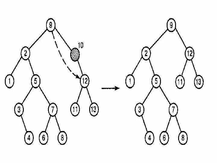 Структура бинарное дерево c++. Сбалансированное бинарное дерево. Сбалансированное бинарное дерево. Элементы бинарного дерева. Бинарное дерево структура данных.