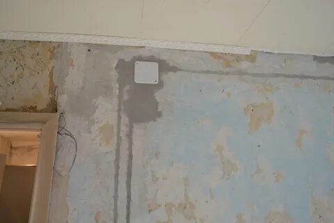 Как найти распределительную коробку под штукатуркой