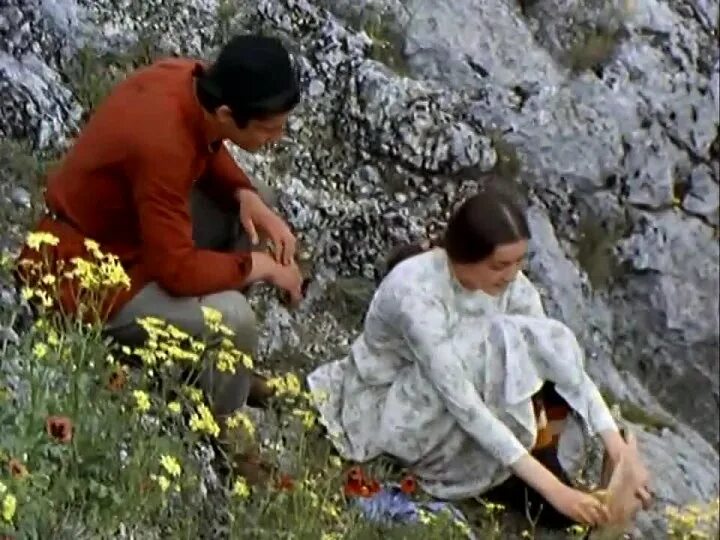 Древо желаний абуладзе. Древо желаний абуладзе. Древо желания абуладзе. Древо желаний абуладзе. Тенгиз абуладзе древо желания.