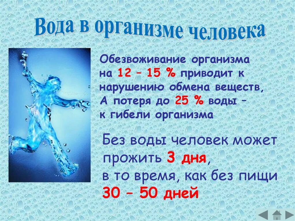 Свойства воды в живых организмах. Без воды нет жизни. А без воды нет. Нет воды нет жизни.