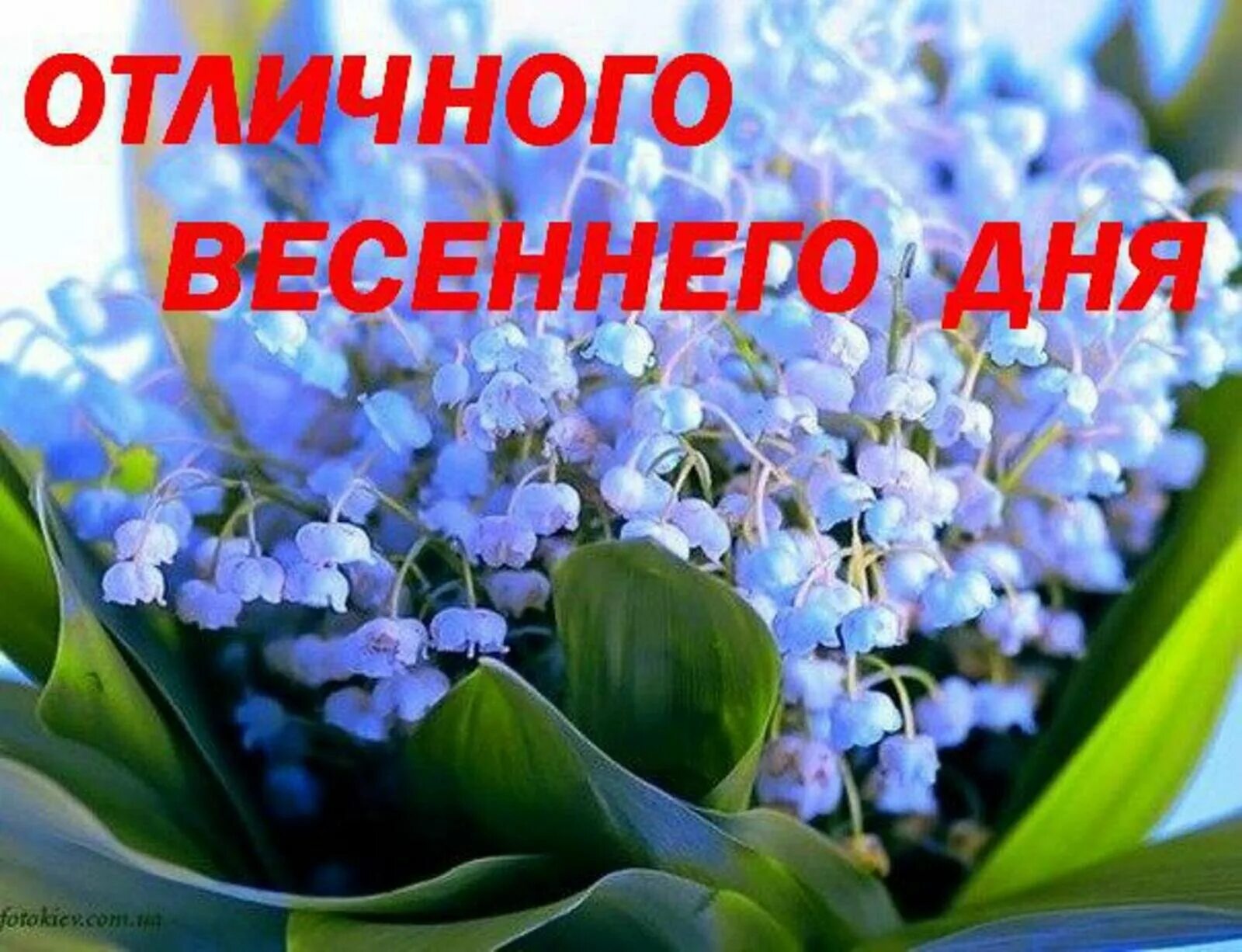 С мартовским утром и добрым днем. Доброго весеннего дня. Пожелания с добрым воскресным весенним утром. Открытки хорошего дня весенние. Доброго весеннего воскресенья.