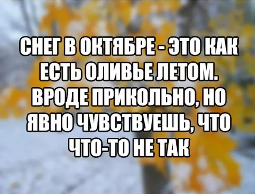 Статусы про первых. Шутки про ноябрь. Приколы про октябрь. Снег в октябре приколы. Шутки про октябрь.