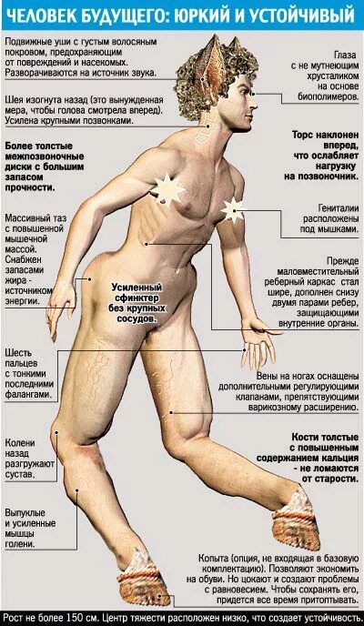 Будущее человечества через 1000 лет. Образ человека будущего. Девушка робот. Что значит человек будущего. Что значит человек будущего.