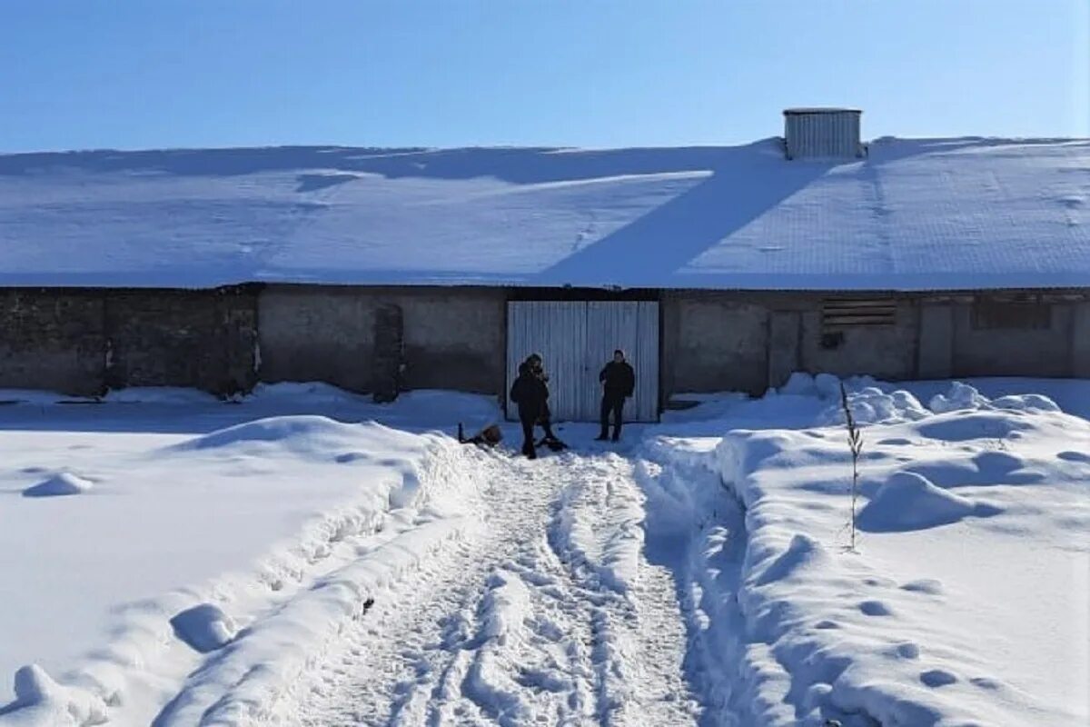 Случай в алтайском крае