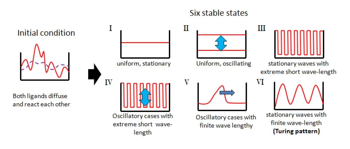 Initial conditions