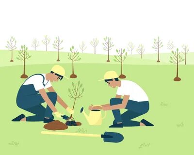 The gardener planted some