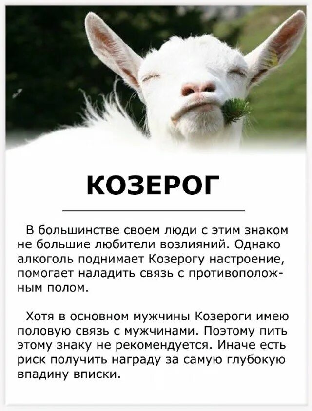 Козерог проявляет