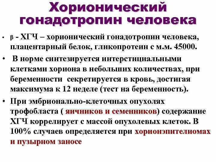 Определение хорионического гонадотропина. Хорионический гонадотропин ч. Хроническийгонадотропин человека. Хорионический гормон человека. Хорионический гонадотропин синтезируется:.