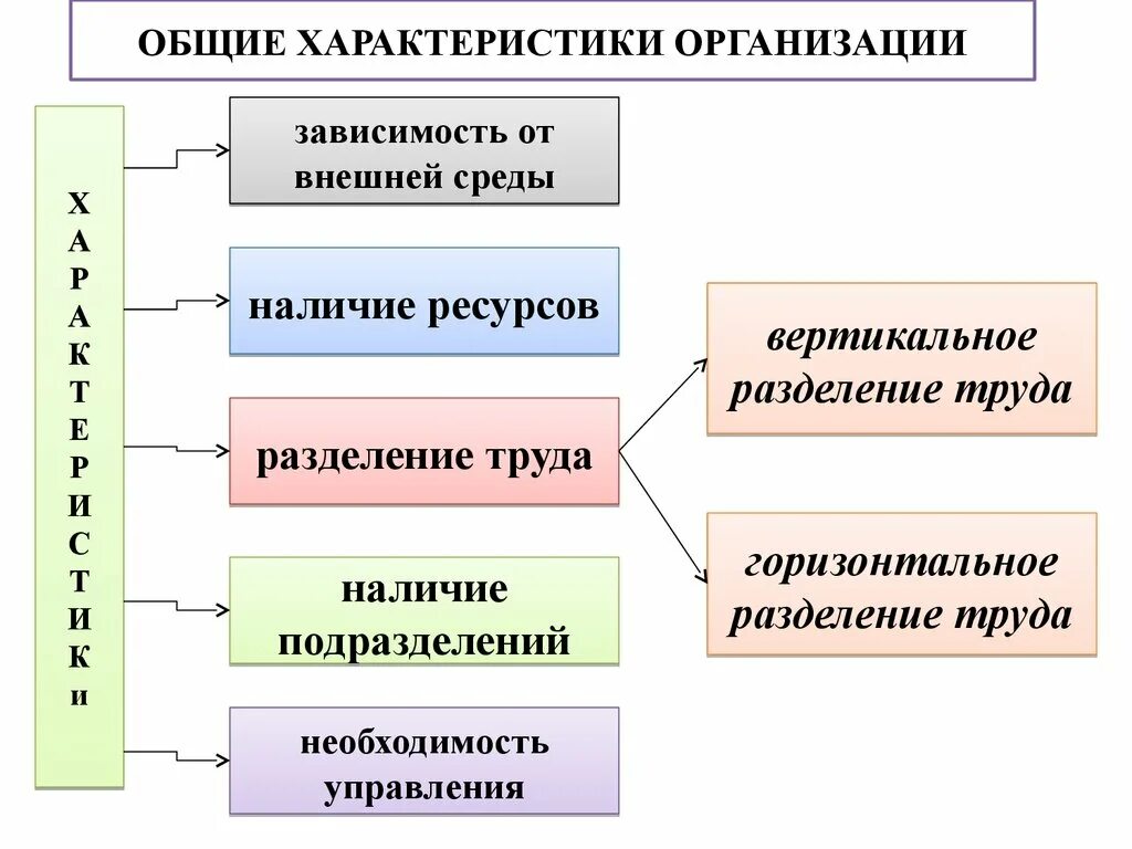 Общие характеристики организации. Основные характеристики организации. Общая характеристика юридического лица. Основные характеристики юридического лица. Сайт общ организации