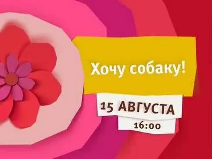 Телеканал карусель за год 2015