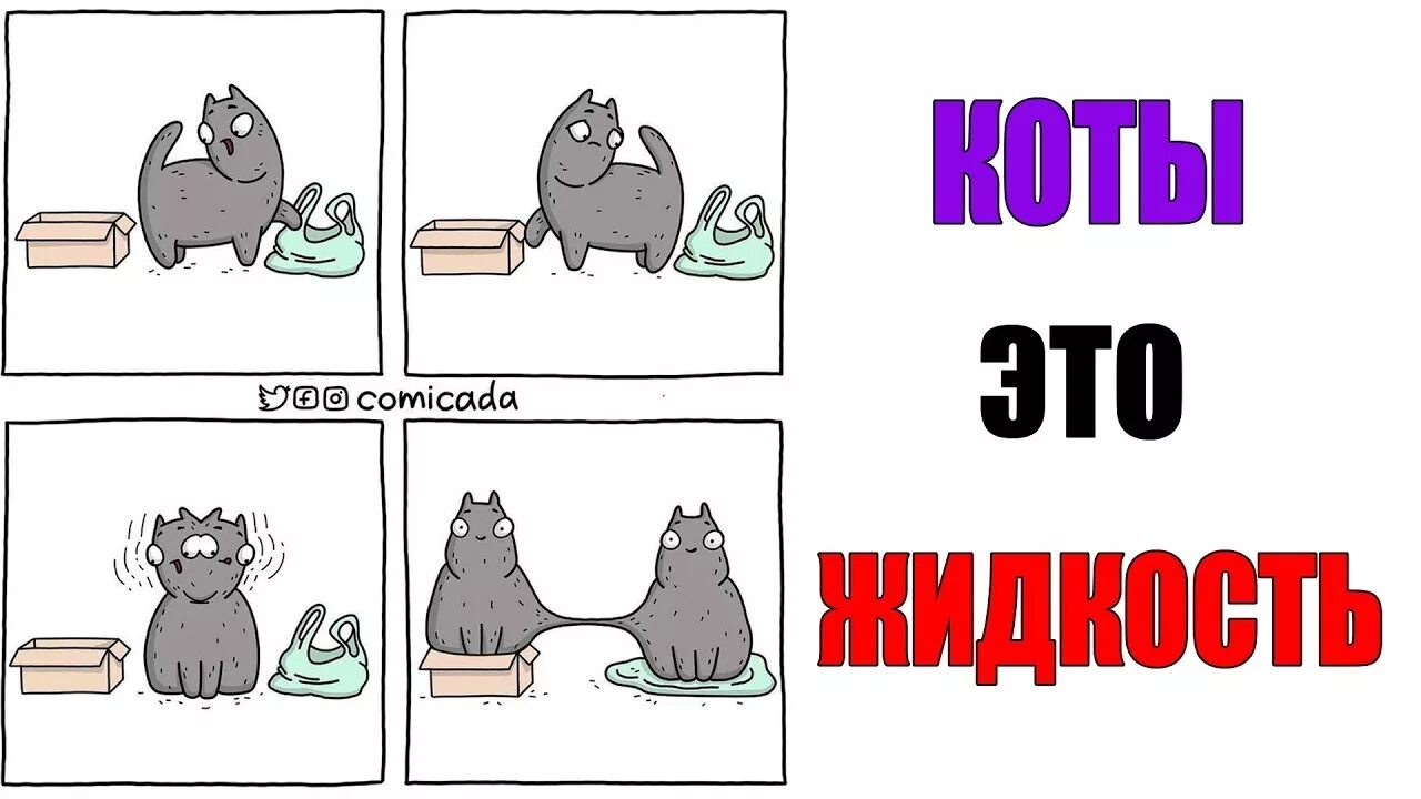 Как сделать видео мем с котами. Мемы про котов. комиксы с котами. мемы с котами комиксы. кот мем.