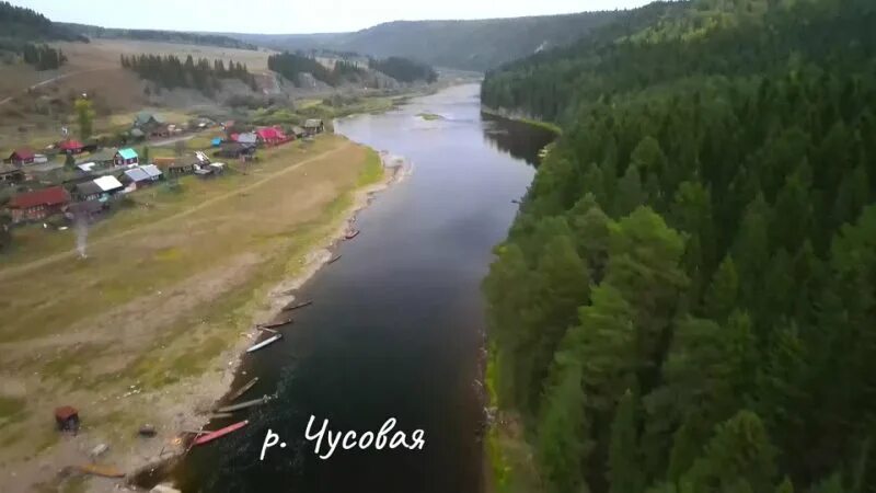 Прогноз кын. Прогноз кын