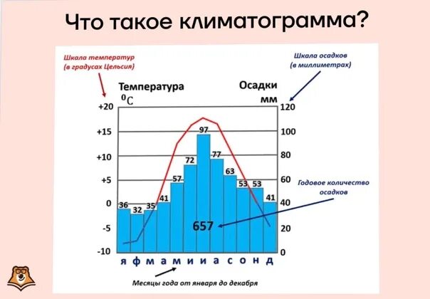 Климатограмма смешанных лесов. Климатограмма климата смешанных лесов. Климат Египта климатограмма. Климатическая диаграмма. Климатограммы климатических поясов.