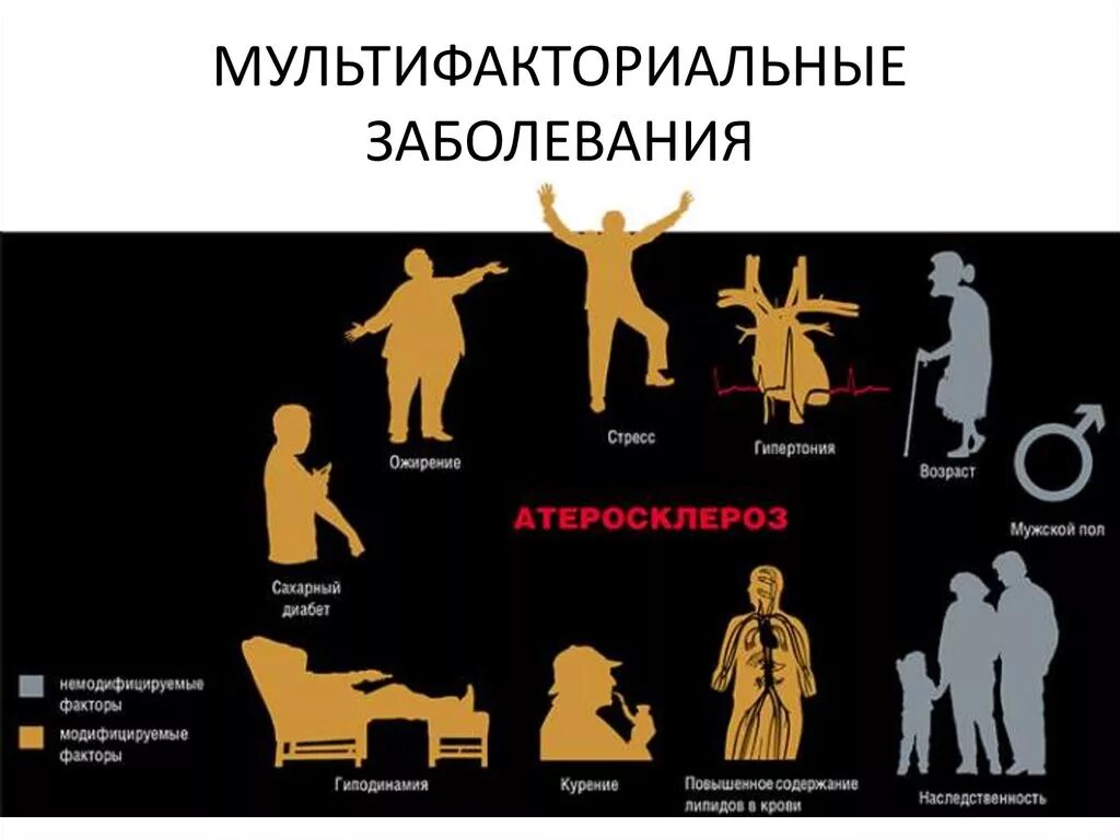Ожирение и атеросклероз. Мультифакториальные заболевания. мультифакториальные болезни классификация. факторы риска атеросклероза. мультифакториальные заболевания генетика.