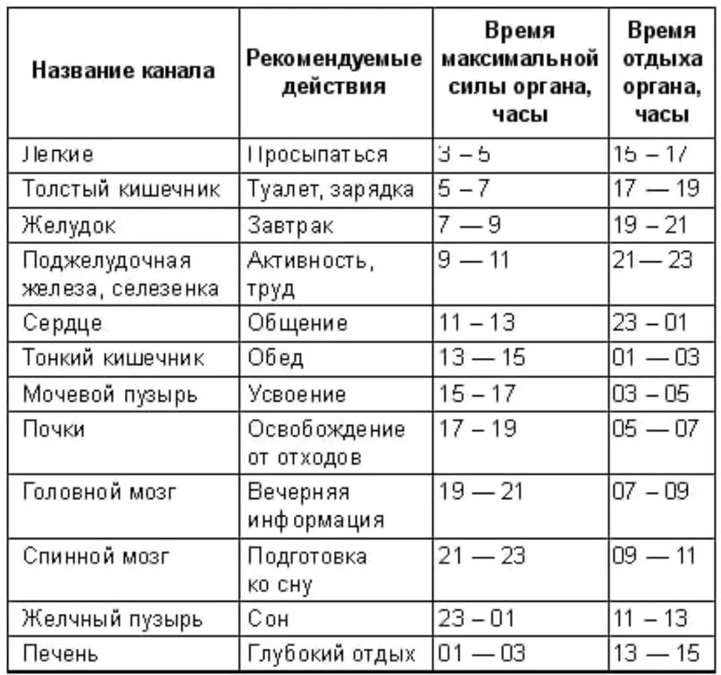 Таблица биологических часов человека. Периоды активности внутренних органов. Время активности меридианов человека таблица. Таблица активности органов человека в течении суток.