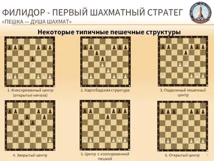 Шахматное звание