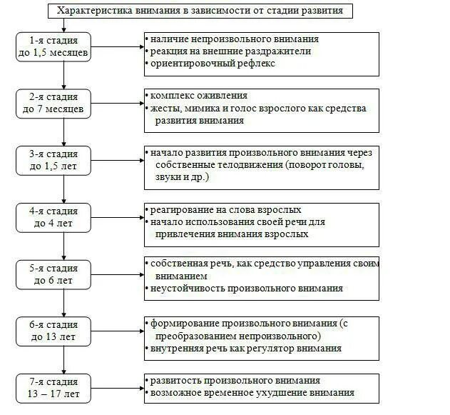 Стадии развития внимания. Этапы формирования внимания в онтогенезе. Стадии развития внимания в психологии. Этапы развития внимания в дошкольном возрасте.