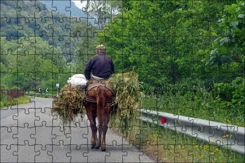Booty farming