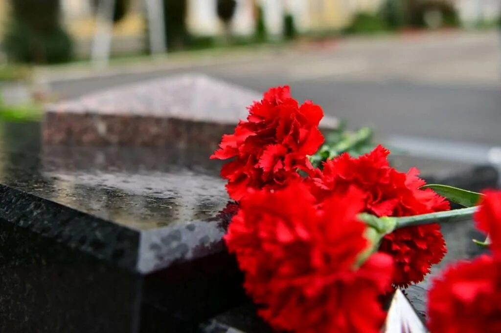 День памяти жертв второй мировой войны. Почтить память погибших к23феврвля. Почтить память Катюше. Как 23 февраля почтить память погибших.