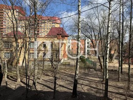 Пушкино проезд