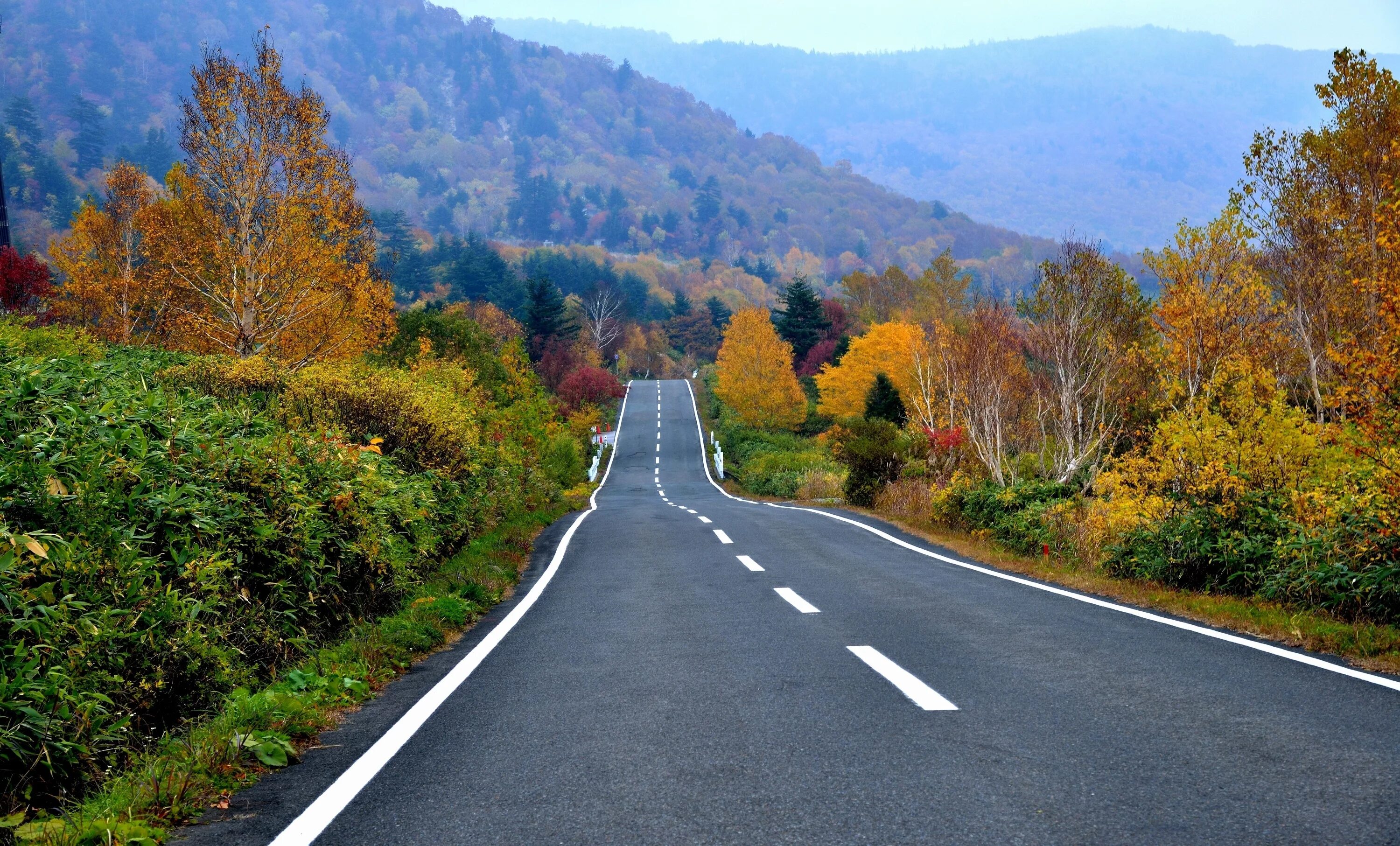 Осенняя дорога. Красивая дорога. Дорога в осень. Пейзаж дорога. Different roads