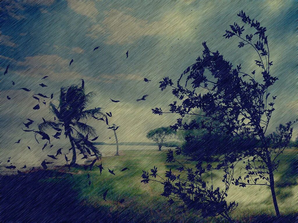 Winds day 3. Михаил лебедев windy day. windy shaoring. hunt haiku. вонючка ветер.