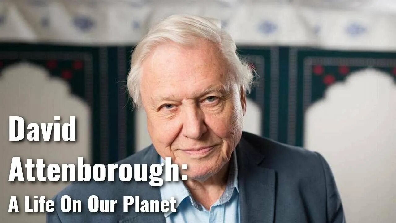 Sir david. David attenborough. sir david attenborough.