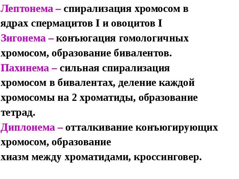 Спирализация хромосом это. Пахинема лептонема. Мейоз лептонема зигонема. Диакенез лептонема зигонема. Лептонема зигонема пахинема диплонема.