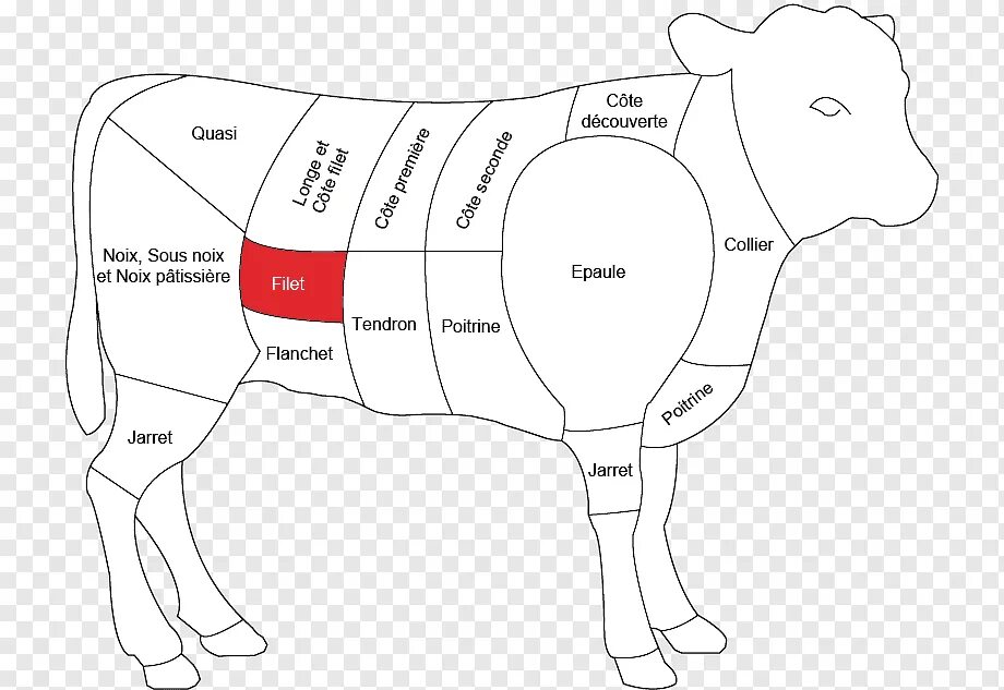 Ягненок схема. Самые хорошие части баранины. Лошадь BBQ чертежи. Мякоть ягненка это какая часть. Мясо лошади PNG.