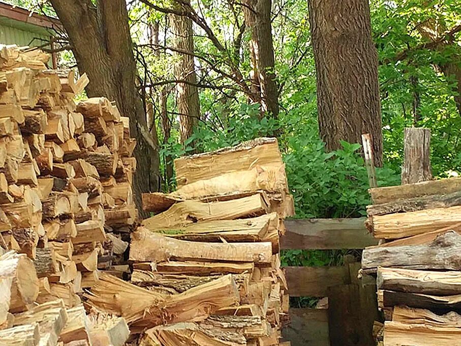 Найди животное найди кошку. Найди кота. найдите кота. найти кота на картинке.