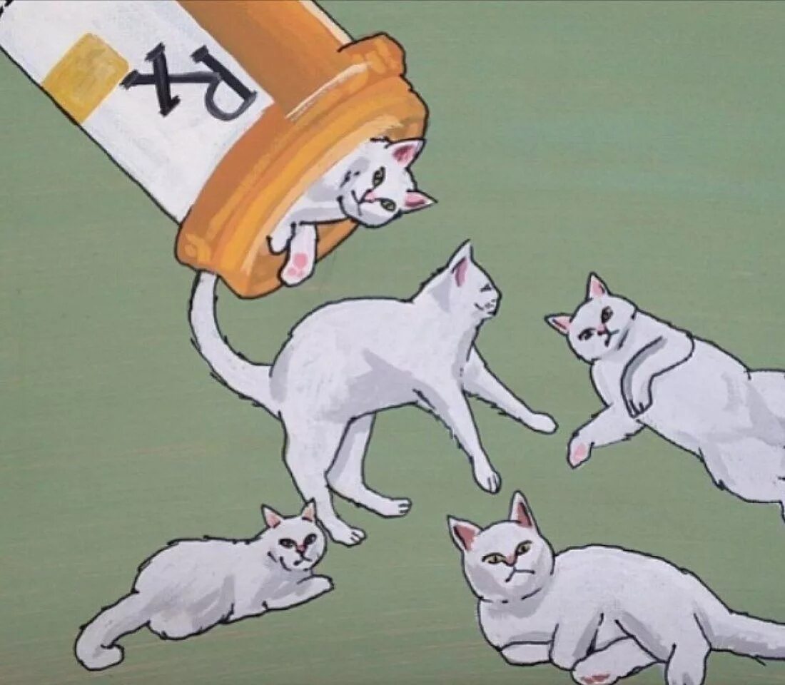 Ивент с котами хср