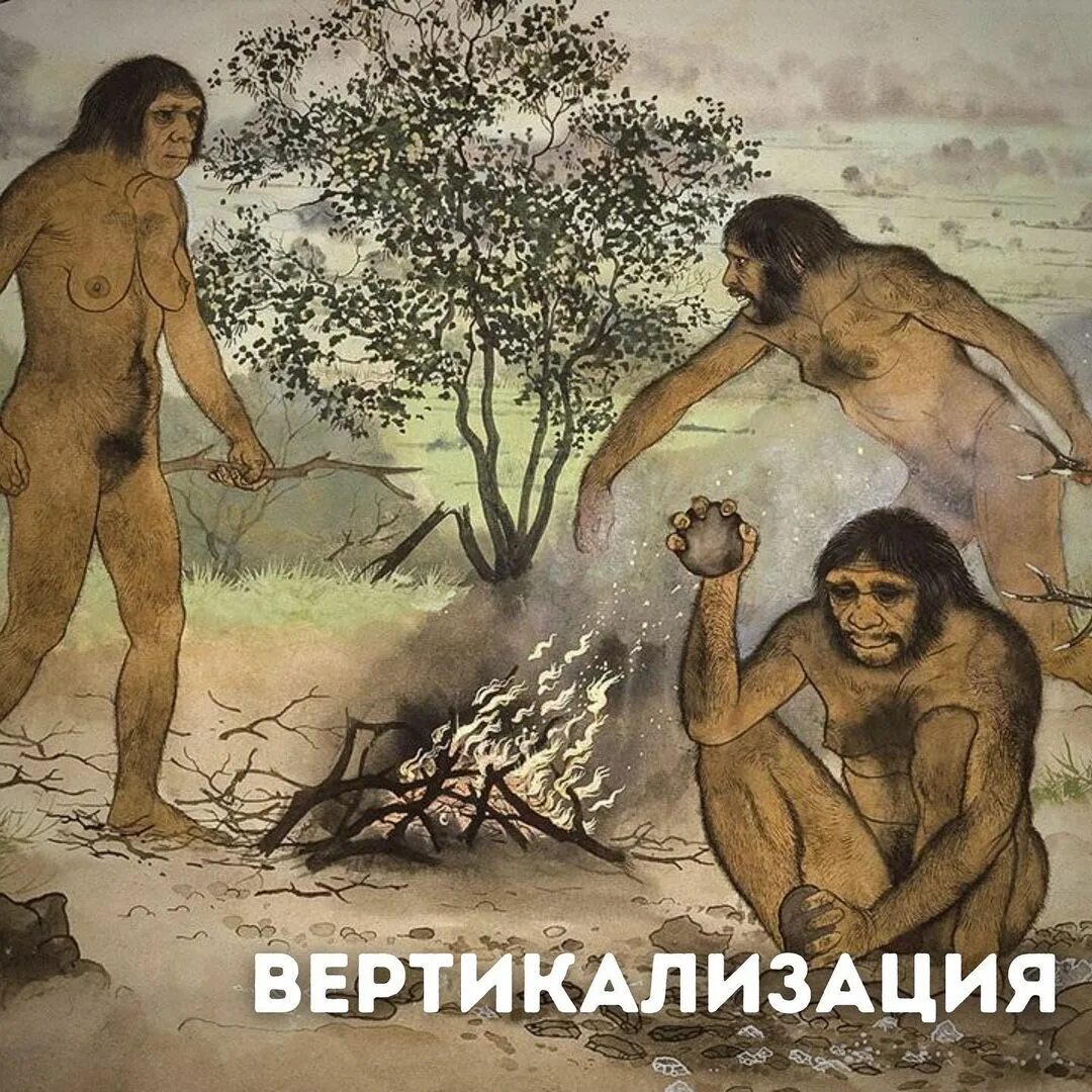 Как назывались группы древних людей. Древний человек. первобытные люди. занятия первобытных людей. люди в древности.