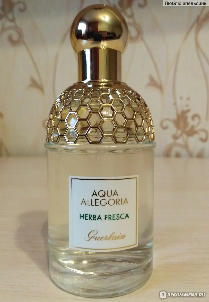 Туалетная вода Guerlain Aqua Allegoria herba fresca. Аква аллегория герлен голубая Пчелка. Духи герлен Аква аллегория Соло. Aqua Allegoria herba fresca 125 флаконы по годам. Guerlain aqua allegoria fresca