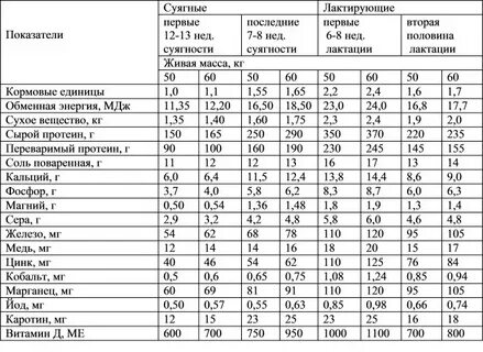 Рацион овец