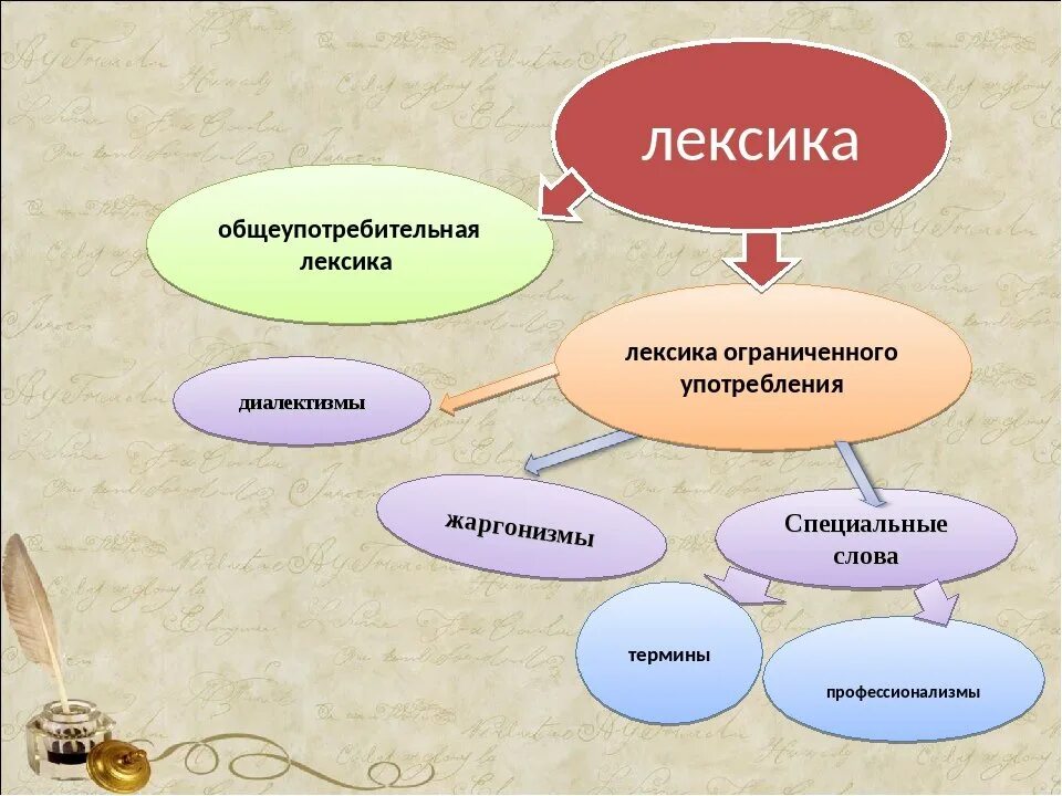 Лексика. Лексика русского языка. Лексика и лексикология. Что такое лексикология в русском языке. Лексика сеть