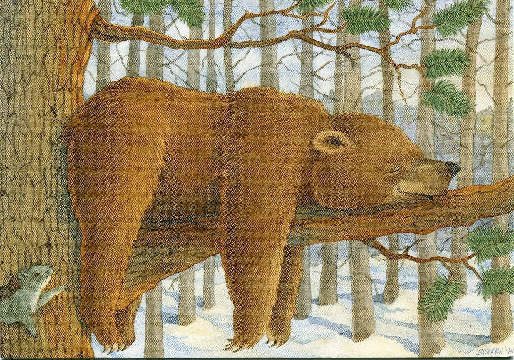 Медведь рисунок. Медведь на дереве. Медведь в лесу. Медвежонок на дереве. Медведь умеет читать