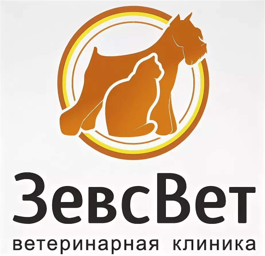 Ветеринарный центр зевс. Зевс ветеринарная клиника. Ветеринарный центр зевс. Ветклиника фирменный стиль. Ветеринарная клиника смоленск на 25 сентября.