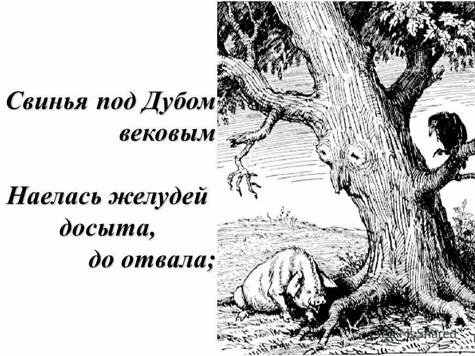 Под дубом 5. Басни ивана крылова свинья под дубом. басни крылова раскраски к басне свинья под дубом. свинья под дубом раскраска. рисунок к басне свинья под дубом.