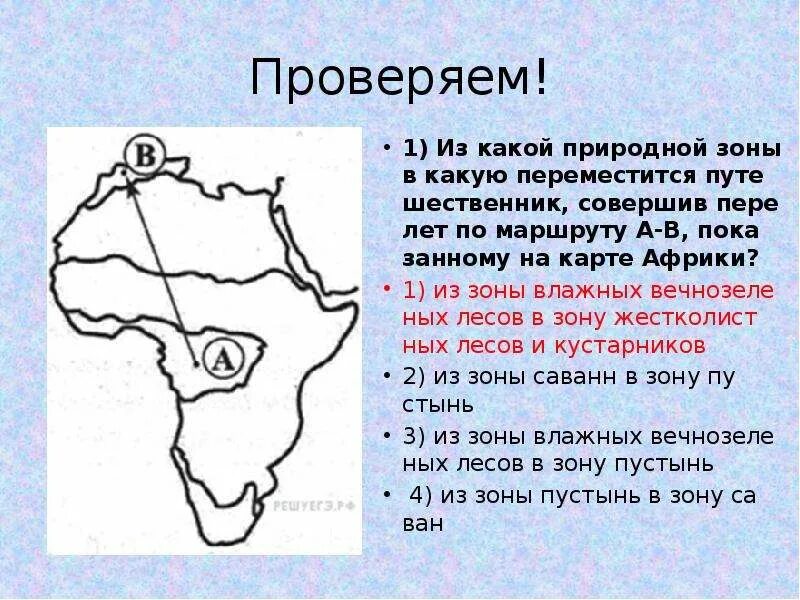 Тест по теме природные зоны 1 вариант. Интересные задания по теме природные зоны. Путешественник совершаемое перелет в Африку по маршруту Каир. Африка вечнозеленый лес карта. Африка природные зоны в черно белом варианте границами бассейнов.