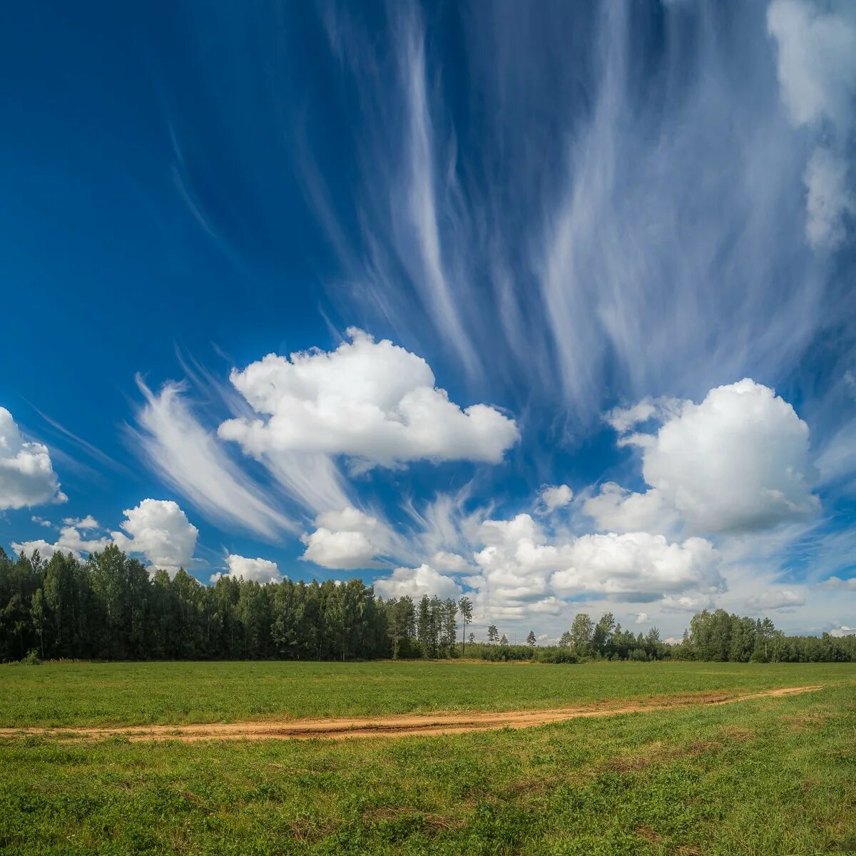 Download wallpaper The sky, Clouds, Clouds, Sky, section nature in resolution 51