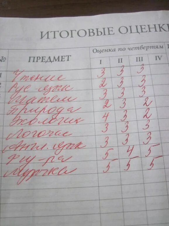 Каким предметам пятерки
