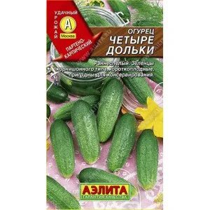 Огурцова 4