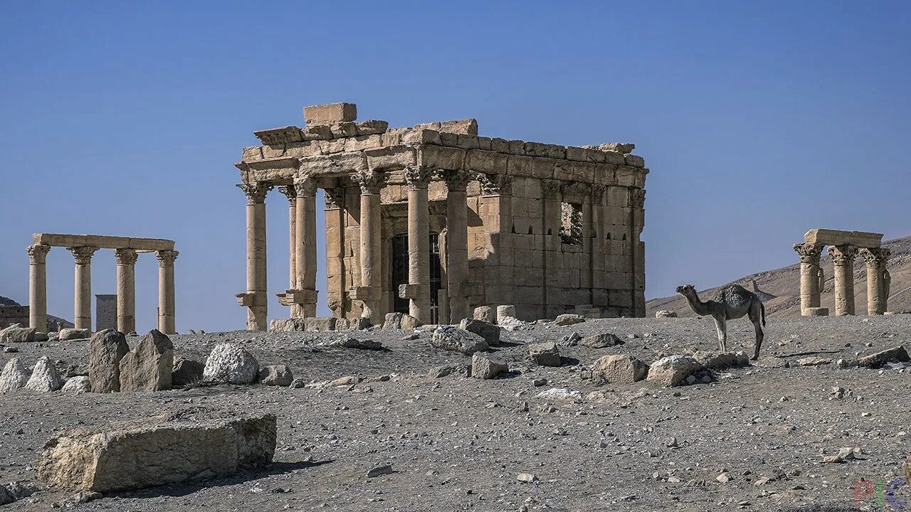 Храм пальмиры. Храм баалшамина пальмира. храм баалшамина сирия. храм баал-шамин в пальмире. храм баалшамина тадмор.