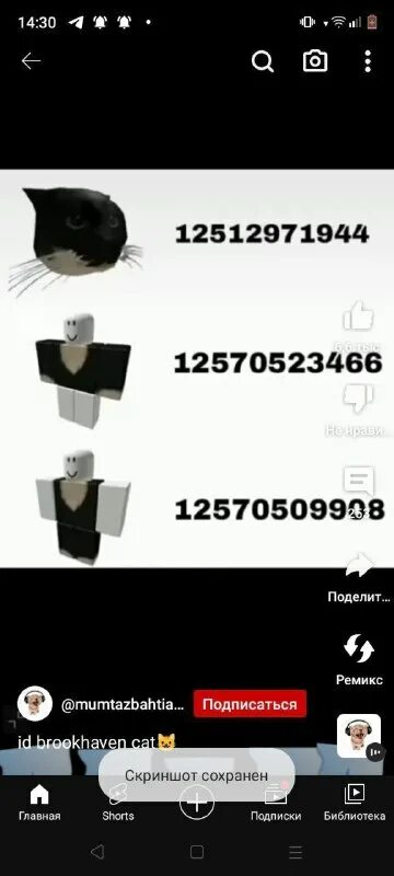 Как сделать кота в брукхейвен. Roblox своими руками. Как сделать кота в брукхейвен. Карта брукхевен в роблокс. Брукхейвен роблокс.