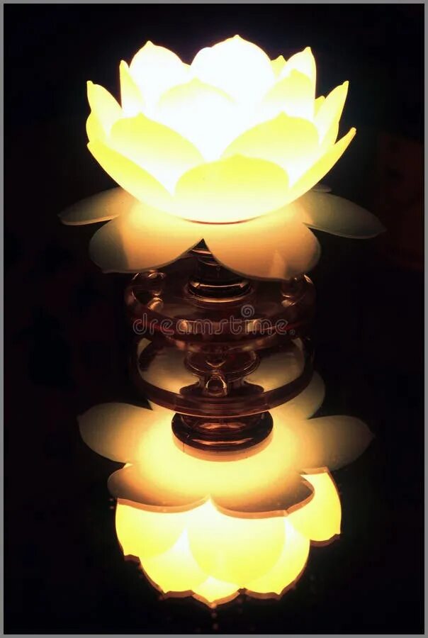 Lotus lamp приложение. Lotus lantern подсветка. лампа лотоса фильм. драгоценный лотосовый фонарь. рисунок лотоса для светильника.