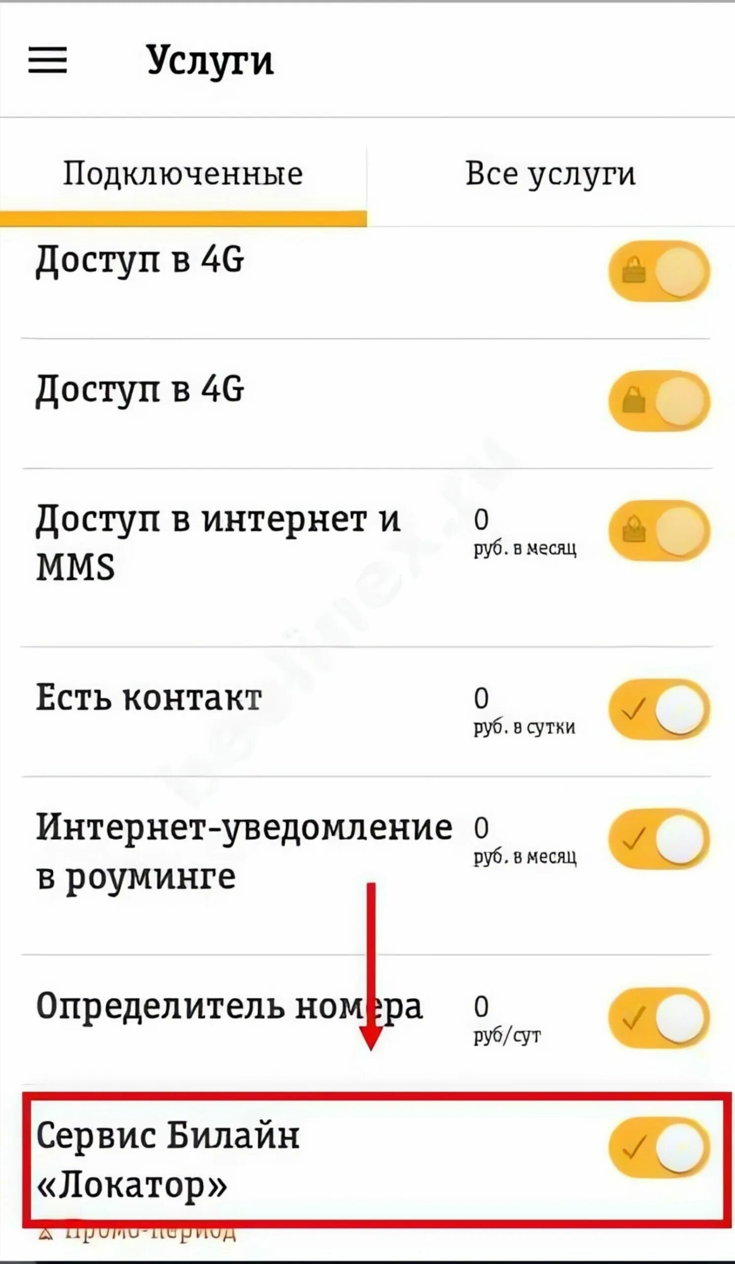 Отключить билайн через личный кабинет. Услуги Билайн. Подключенные услуги Билайн. Услуга локатор. Платные услуги Билайн.