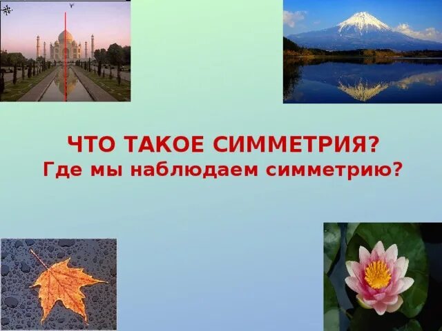 Проект симметрия вокруг нас 6 класс Симметрия вокруг нас : Тема проекта